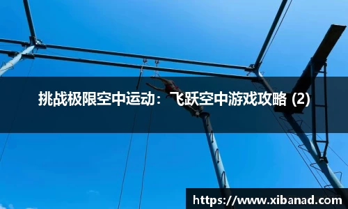 挑战极限空中运动：飞跃空中游戏攻略 (2)