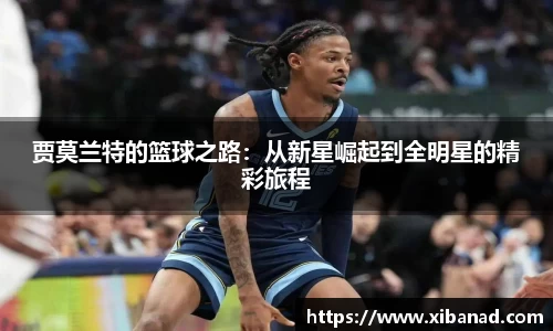 星空·综合(xingkong)体育官方网站-sports