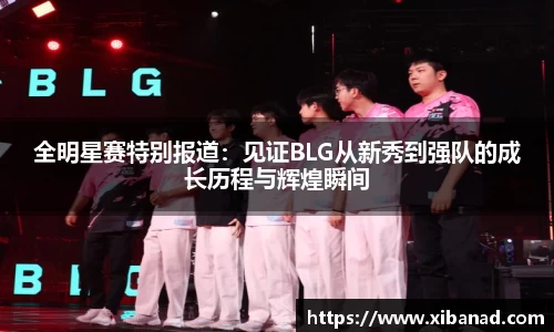 bifa·必发